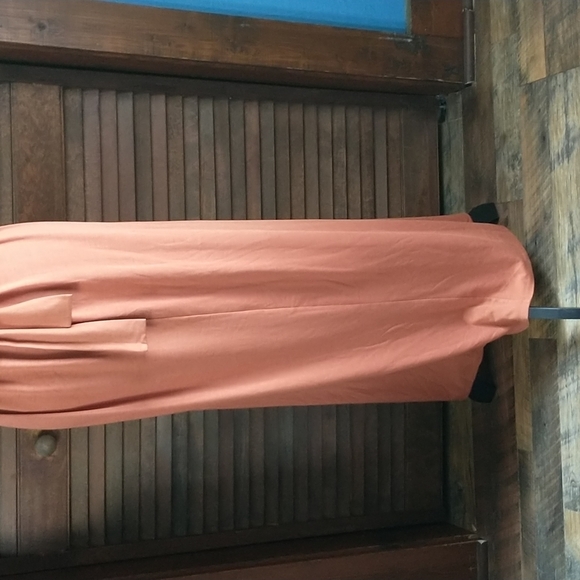 Paperdoll Strapless Dress in Rusty Orange Size L NWT - Picture 5 of 9